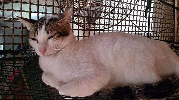 2014-01-04 13.07.06.jpg