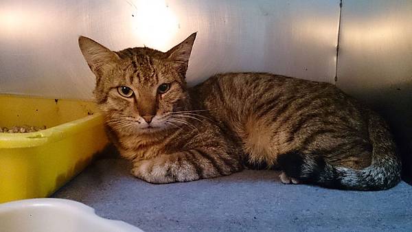 2014-01-11 10.35.53.jpg