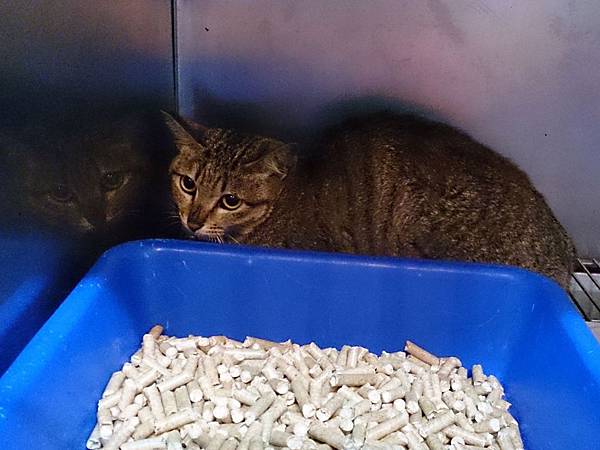 2014-01-11 10.36.23.jpg