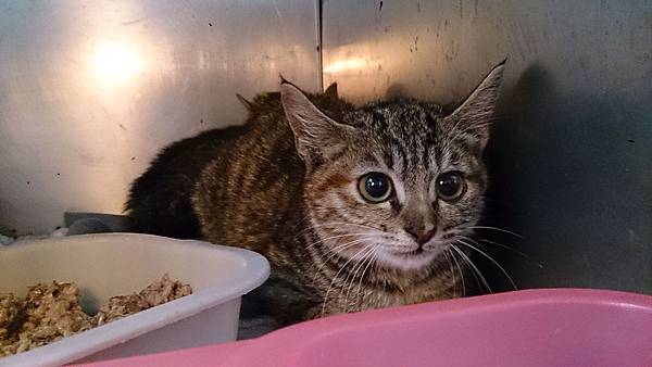 2014-01-11 10.37.38.jpg