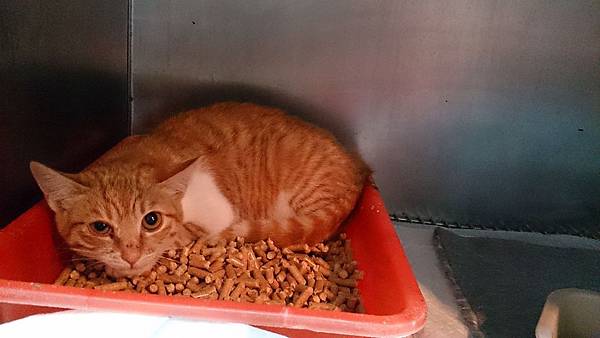 2014-01-11 10.38.19.jpg