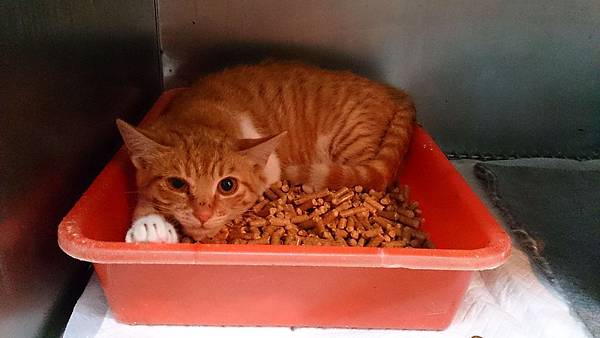 2014-01-11 13.16.17.jpg