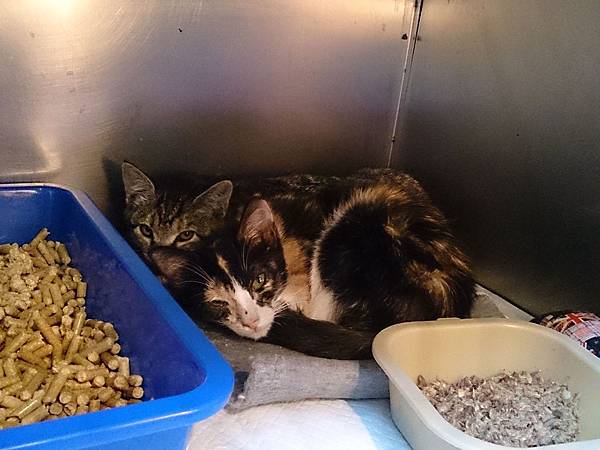 2014-01-11 13.16.25.jpg