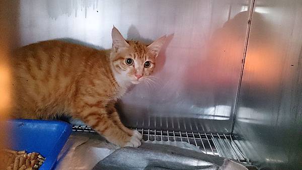 2014-01-11 13.16.40.jpg