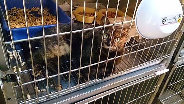 2014-01-11 13.28.12.jpg