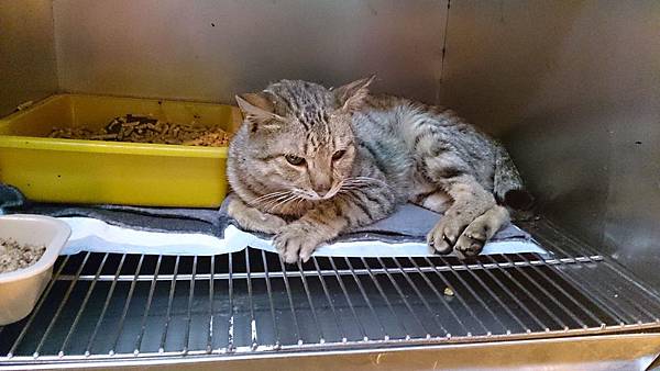 2014-01-11 14.09.25.jpg