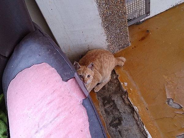 2014-01-11 10.40.11.jpg