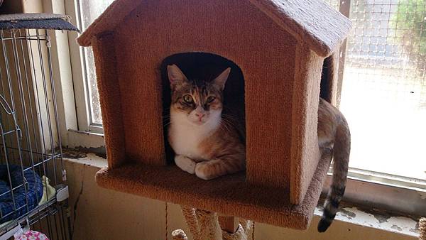 2014-01-11 10.40.21.jpg