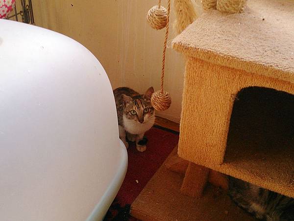 2014-01-11 10.40.32.jpg