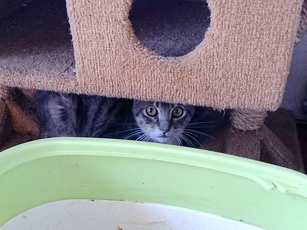 2014-01-11 10.40.37.jpg