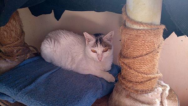 2014-01-11 10.40.51.jpg