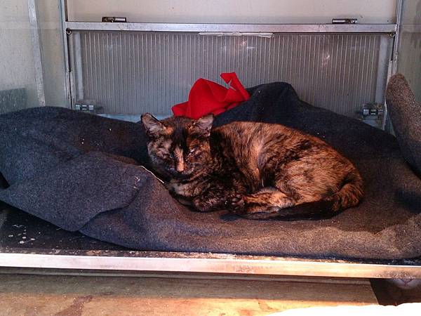 2014-01-11 10.41.15.jpg