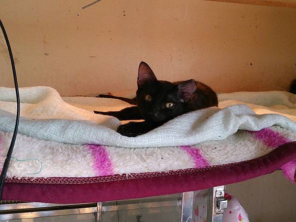 2014-01-11 10.41.27.jpg