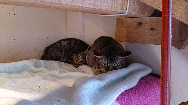 2014-01-11 10.41.43.jpg