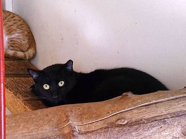 2014-01-11 10.41.48.jpg