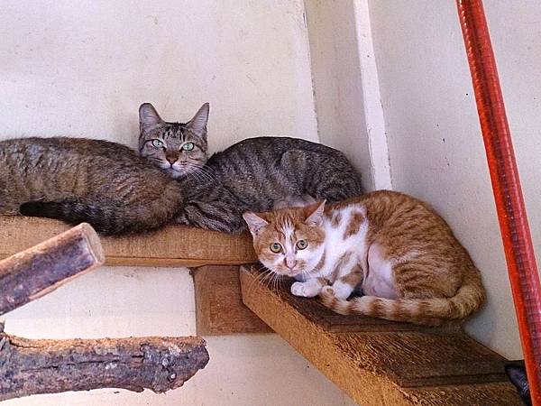 2014-01-11 10.41.52.jpg