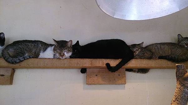 2014-01-11 10.41.56.jpg