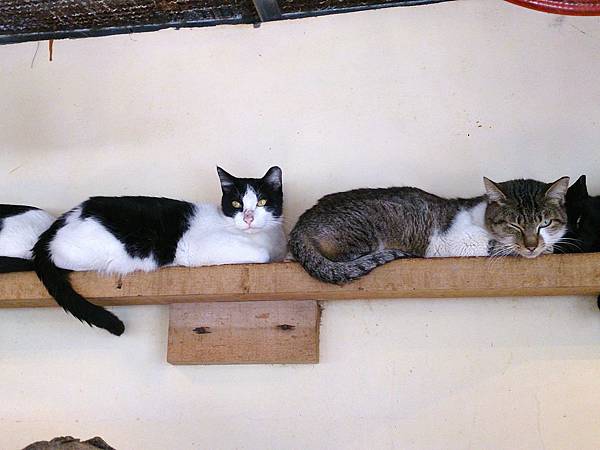 2014-01-11 10.42.01.jpg