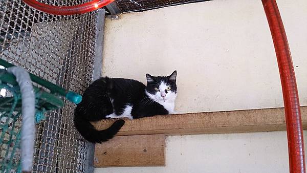 2014-01-11 10.42.42.jpg