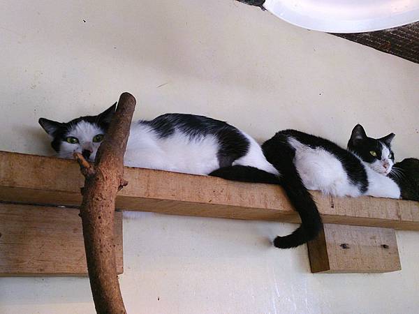 2014-01-11 10.42.51.jpg