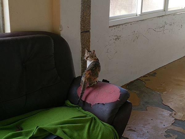 2014-01-11 10.43.17.jpg