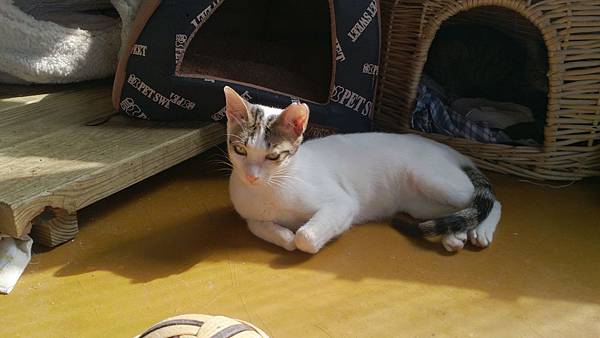 2014-01-11 11.44.15.jpg