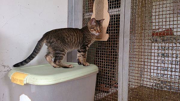 2014-01-11 11.50.12.jpg