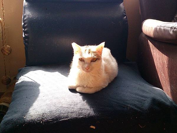 2014-01-11 13.09.34.jpg