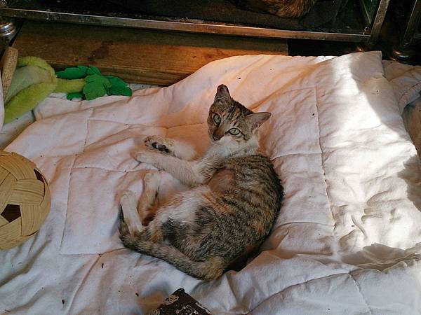 2014-01-11 13.10.31.jpg