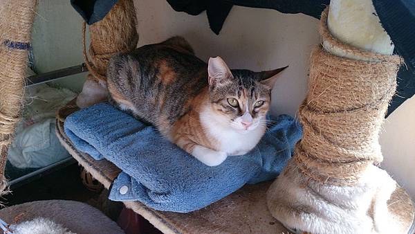 2014-01-11 13.10.34.jpg