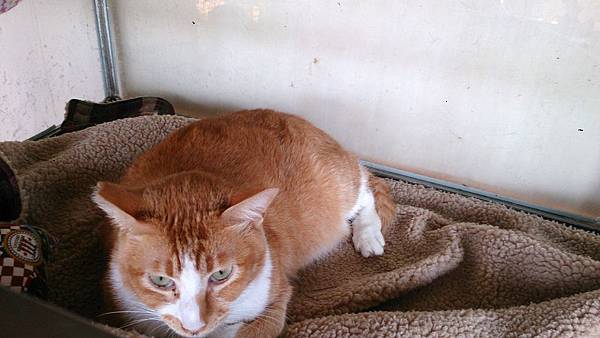 2014-01-11 13.10.59.jpg