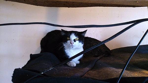 2014-01-11 13.11.53.jpg