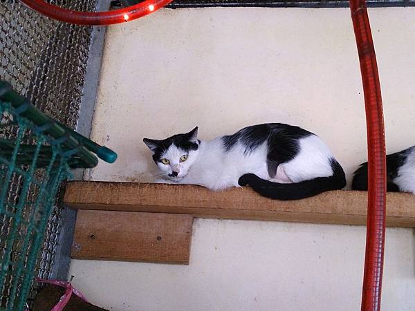 2014-01-11 13.11.58.jpg