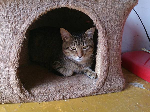 2014-01-11 13.12.22.jpg