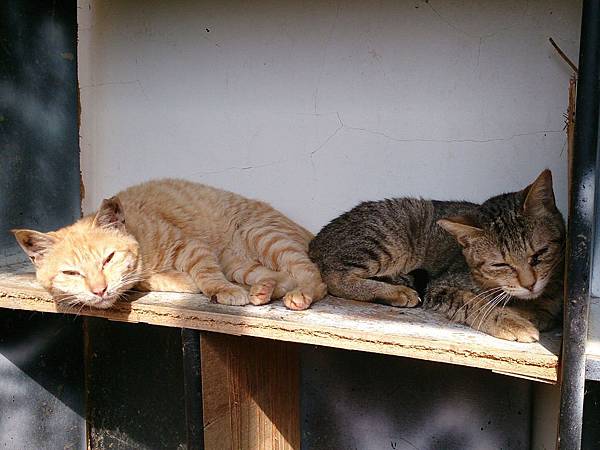 2014-01-11 13.12.59.jpg