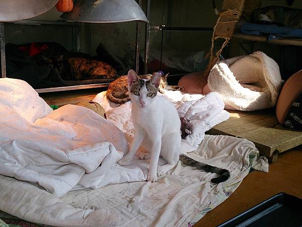 2014-01-11 13.14.35.jpg