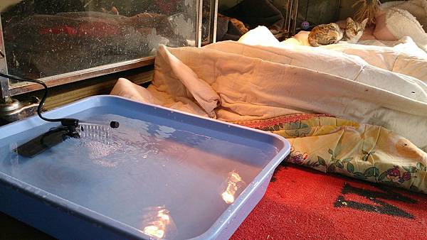 2014-01-11 11.48.16.jpg