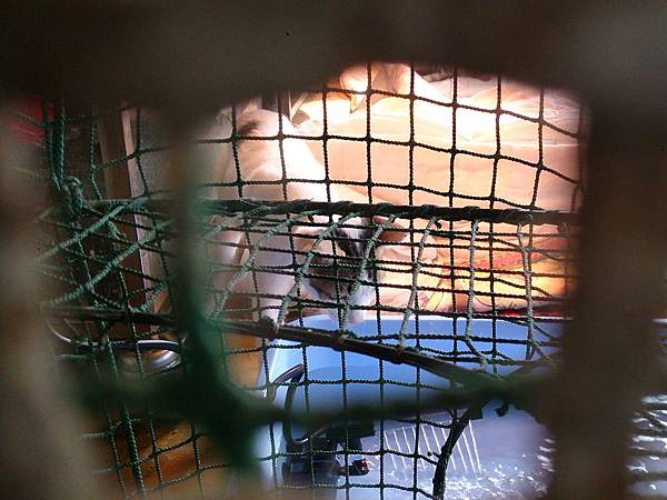 2014-01-11 11.51.13.jpg