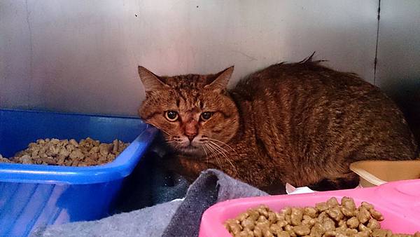 2014-01-18 10.33.14.jpg