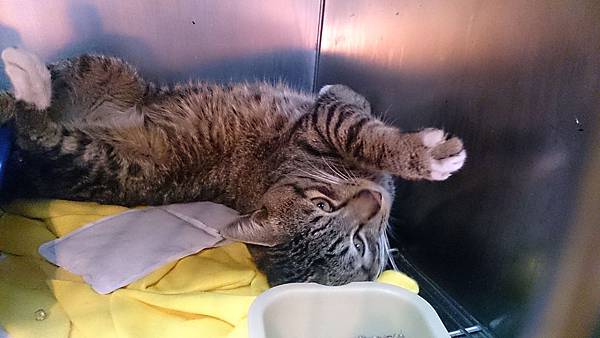 2014-01-18 12.17.30.jpg