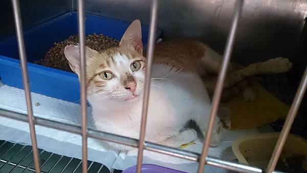 2014-01-18 12.18.02.jpg