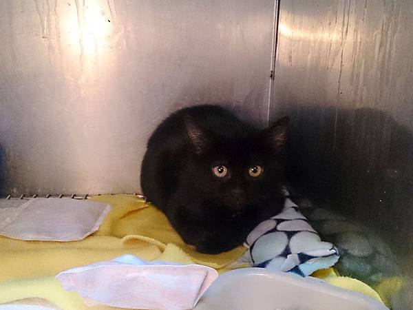 2014-01-18 12.19.08.jpg