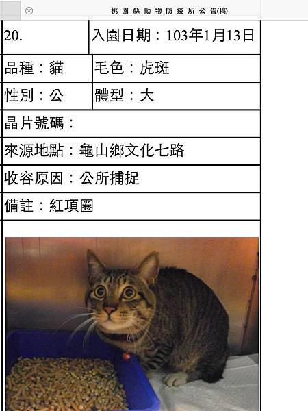 2014-01-18 21.05.54.jpg