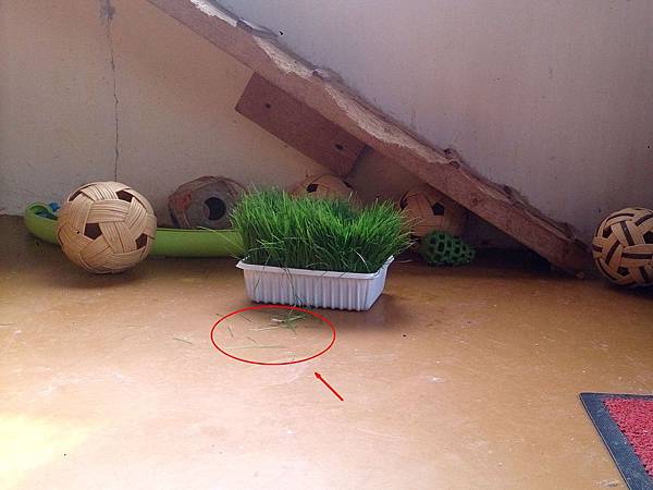 2014-01-18 10.37.29.jpg