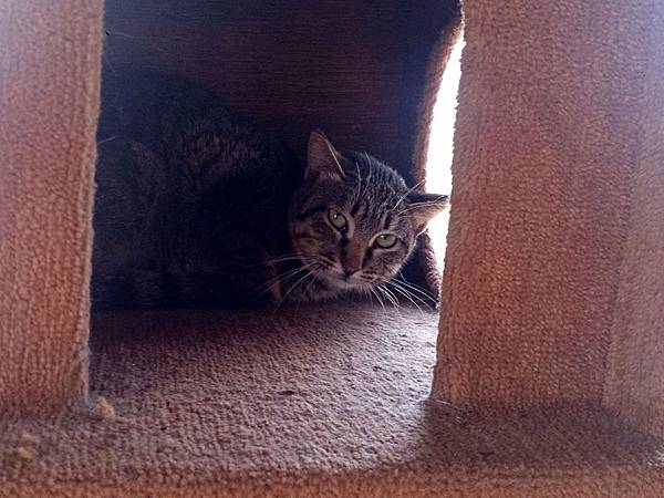 2014-01-18 10.37.52.jpg