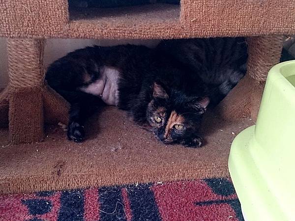 2014-01-18 10.37.57.jpg