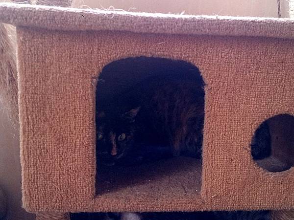 2014-01-18 10.38.03.jpg