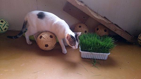 2014-01-18 10.38.14.jpg