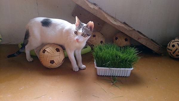 2014-01-18 10.38.20.jpg