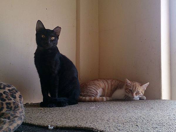 2014-01-18 10.39.01.jpg